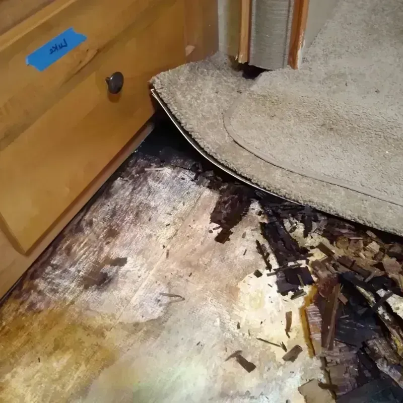 Wood Floor Water Damage in Springdale, OH